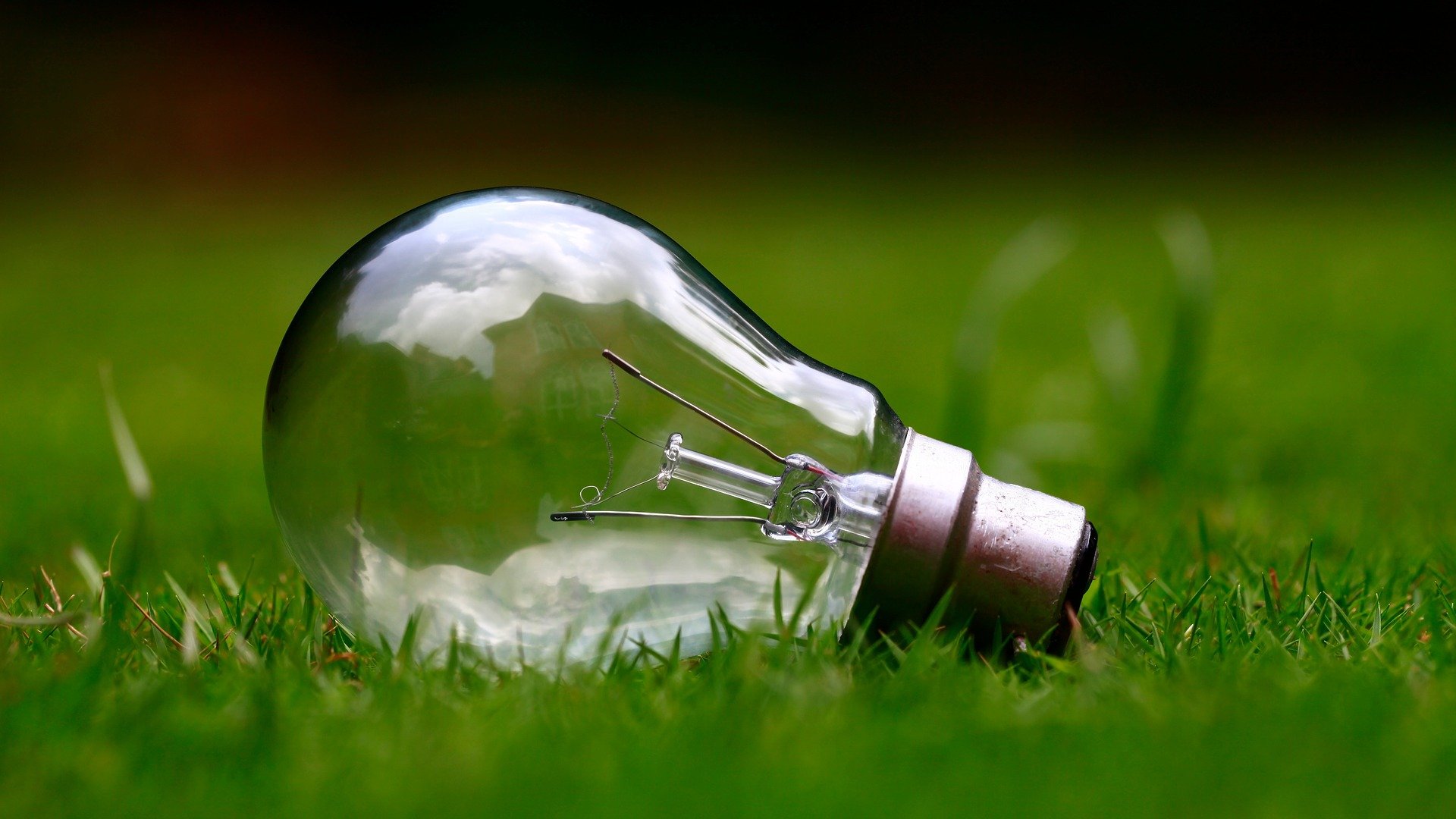 ampoule électrique posée dans l'herbe